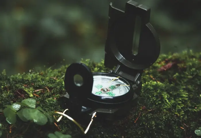 Kompass auf einem bemoosten Stein im Wald